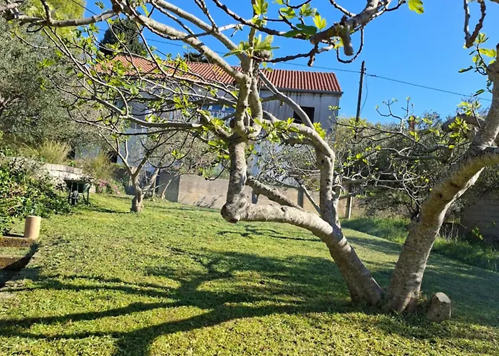 Nyaraló Kamena Kuca Pax Vrgada